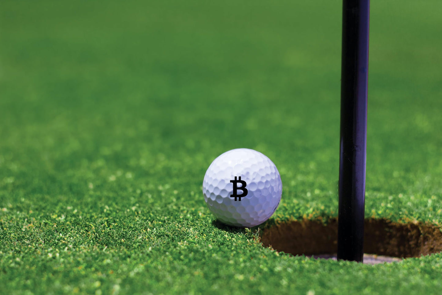 Ball Badge - Golf Ball Stamp, Self-Inking Golf Ball Stamper, Golf Ball Marker, Reusable Golf Ball Marking Tool to Identify Golf Balls - Reusable Ink Stamp for Golf Balls (Bitcoin)