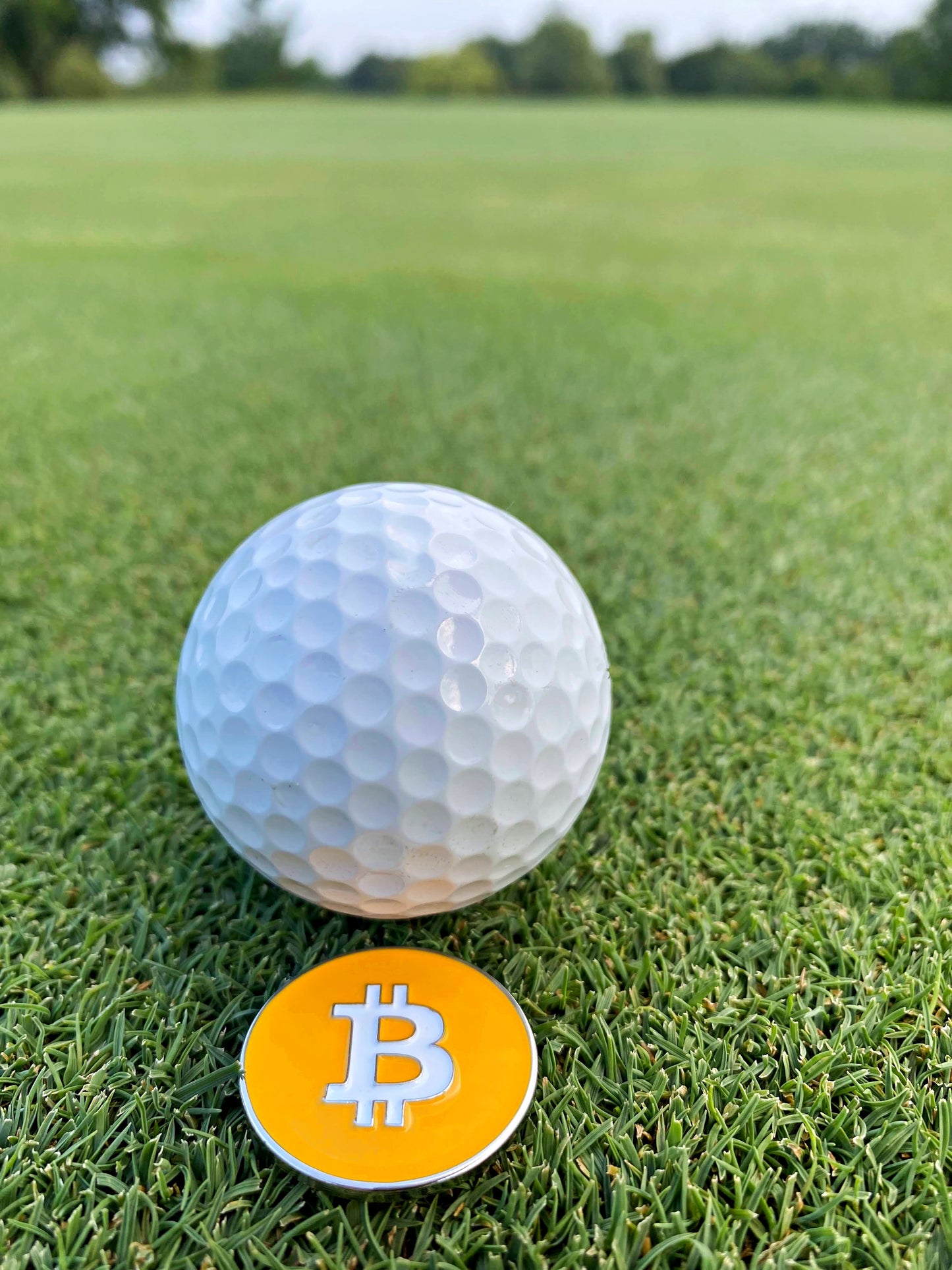 Bitcoin Golf Ball Markers Value Pack - Works with Most Hat Magnetic Clips and Divot Repair Tools Men and Women Golf Gift Accessories Funny Ball Mark Bulk Lot of Bitcoin Ball Markers