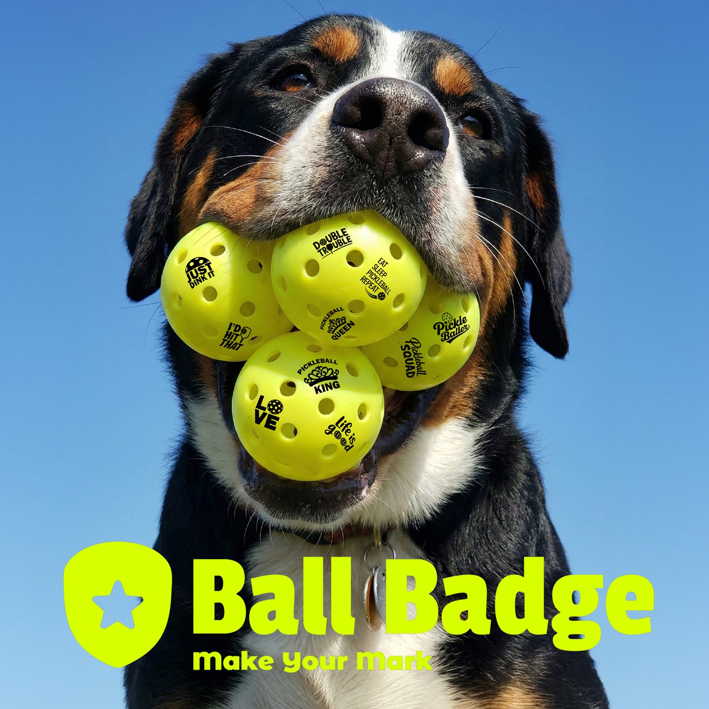 Ball Badge Pickleball Stamp – Pickleball Ball Marker to Mark & Identify Pickleballs, Durable Clean Print for Easy Recognition for Recreational & League Play